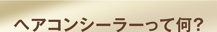 ヘアコンシーラーって何？