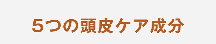 ５つの頭皮ケア成分