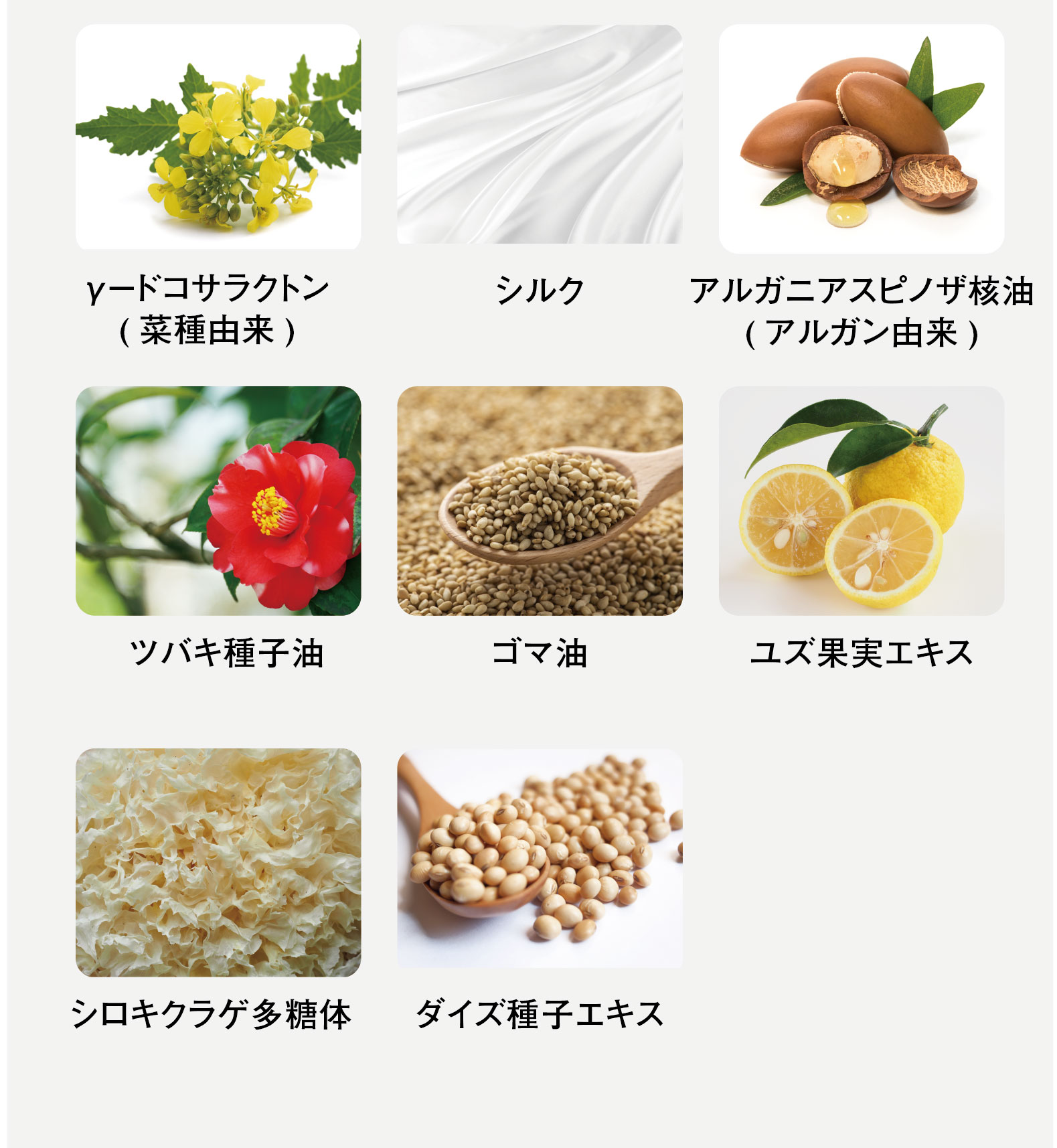 γ－ドコサラクトン(菜種由来)・シルク・アルガニアスピノザ核油(アルガン由来)・ツバキ種子油・ゴマ油・ユズ果実エキス・シロキクラゲ多糖体・ダイズ種子エキス
